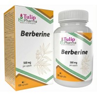 Tulip BioPharma Berberin-Extrakt 120 Kapseln.