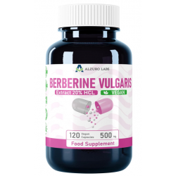 Alzuro Labs Berberin (Vulgaris) 120 Kapseln (20:1 Extrakt)