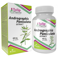 Tulip BioPharma Andrographis Paniculata Extrakt 90 Kapseln.