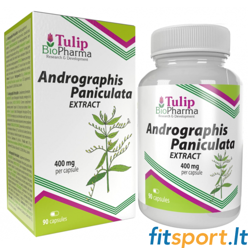 Tulip BioPharma Andrographis Paniculata Extrakt 90 Kapseln. 