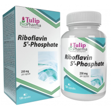 Tulip BioPharma Vitamin B2 (Riboflavin 5'-Phosphat) 120 Kapseln.