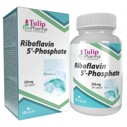 Tulip BioPharma Vitamin B2 (Riboflavin 5'-Phosphat) 120 Kapseln.