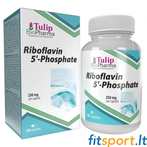 Tulip BioPharma Vitamin B2 (Riboflavin 5'-Phosphat) 120 Kapseln. 