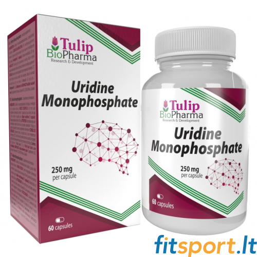 Tulip BioPharma Uridinmonophosphat 60 Kapseln. Tulip BioPharma Uridinmonophosphat 60 Kapseln.